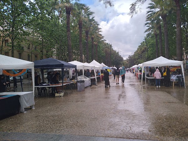 Rambla del Raval