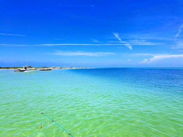 Anclote Key Preserve State Park 3