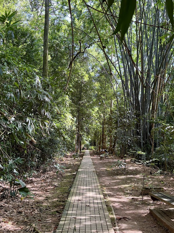 KL Forest Eco Park Canopy Walk