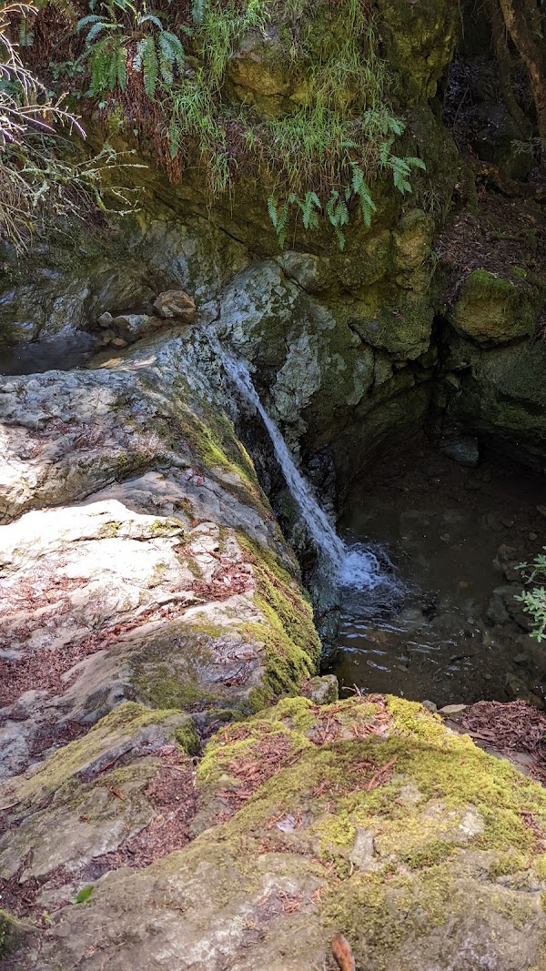 Steep Ravine Trail 3