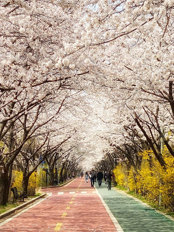 Songpa Dullegil Walking trails