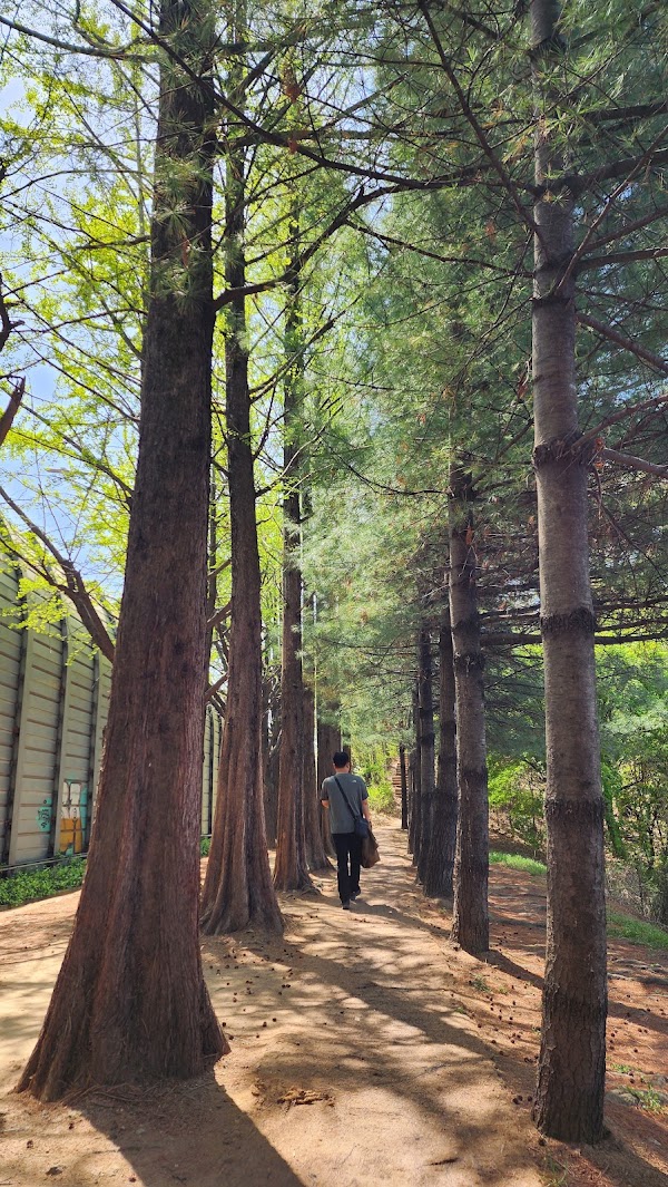 Songpa Dullegil Walking trails 4