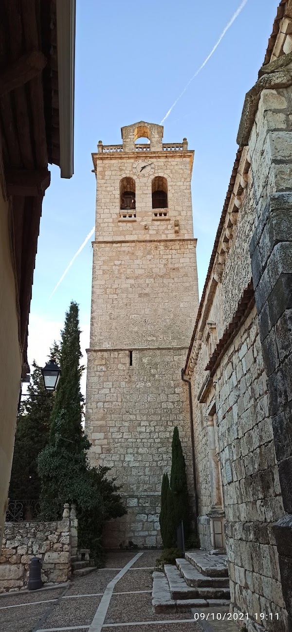 Torija