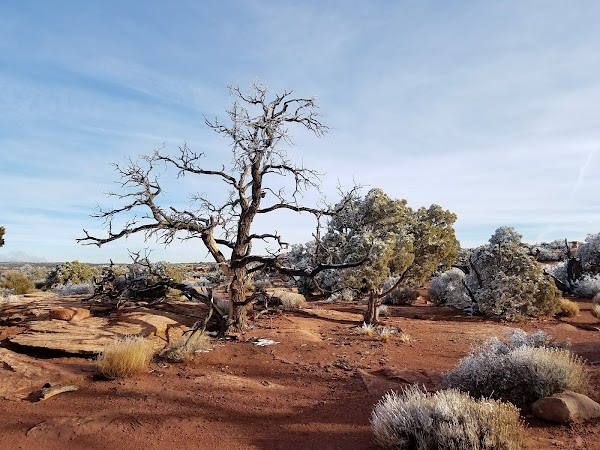 Grand View Point Overlook 5