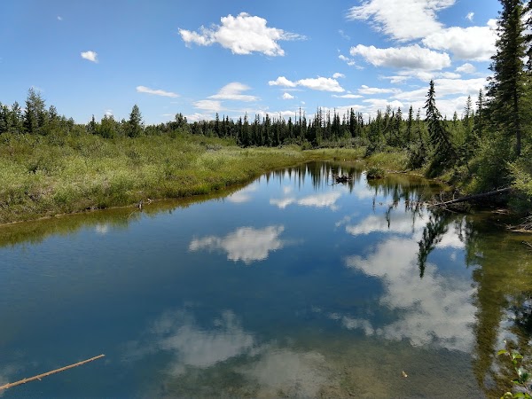 Weaselhead Flats Natural Environment Park 1