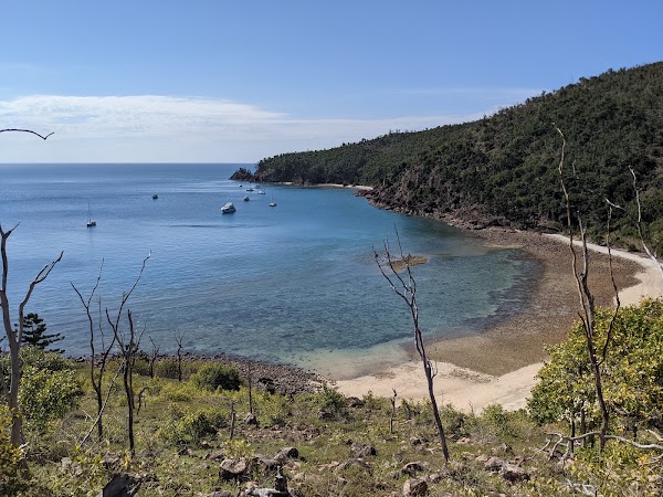 Blue Pearl Bay 1, Hayman Island, QLD