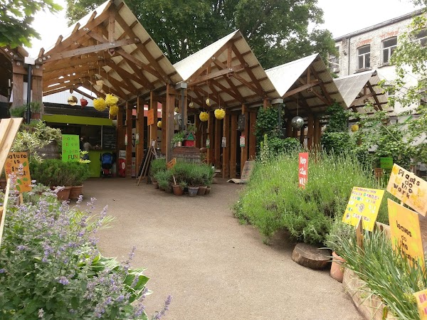 Dalston Eastern Curve Garden 5