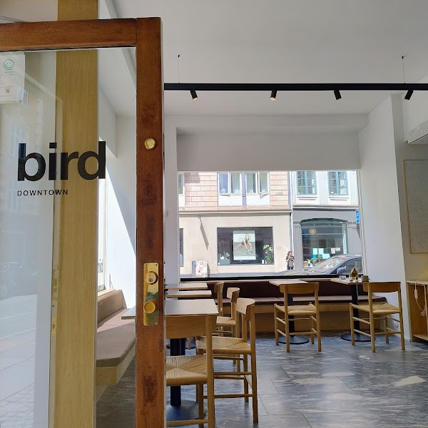bird : downtown 3