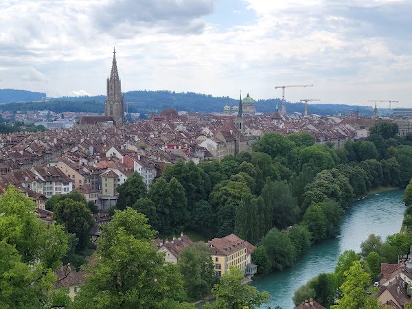 Bern Rose Garden 5