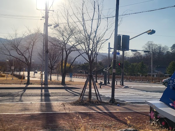 흥무로 벚꽃길 2