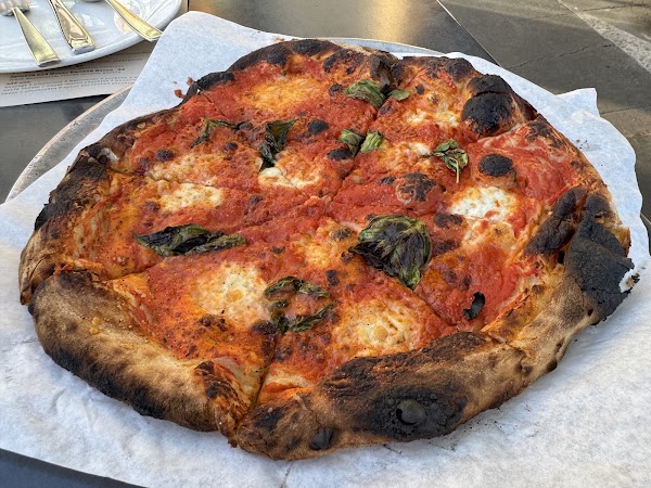 Pazzo 3