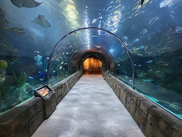 Audubon Aquarium