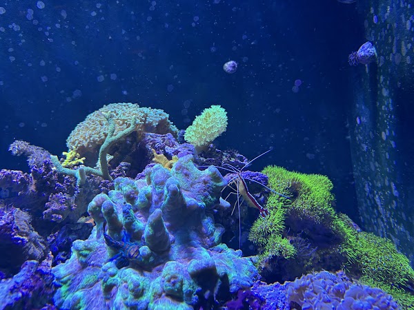 Aquàrium Barcelona 4