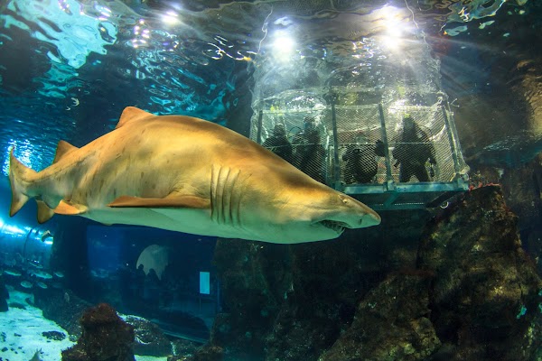 Aquàrium Barcelona 2