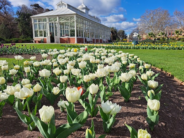Conservatory Gardens 1