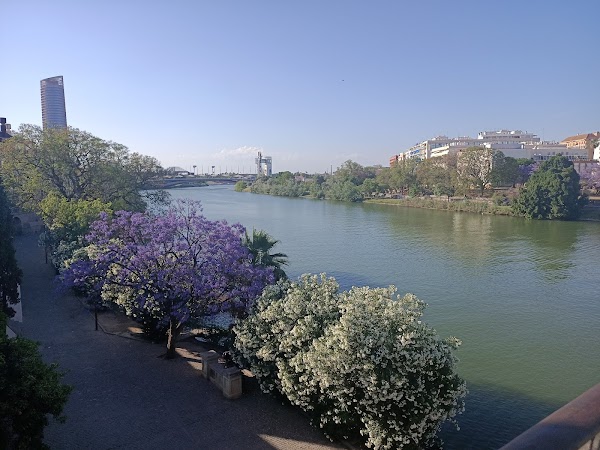 Barrio de Triana 2