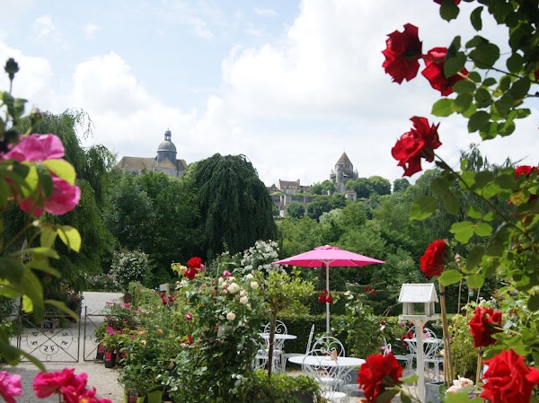 The Rose Garden of Provins