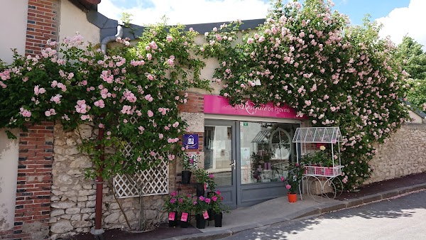 The Rose Garden of Provins 5
