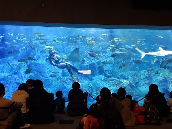Oita Marine Palace Aquarium "Umitamago"