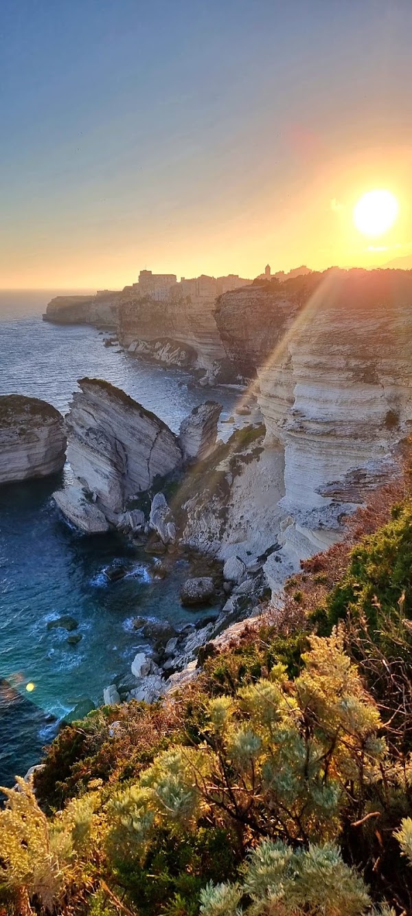 Bonifacio