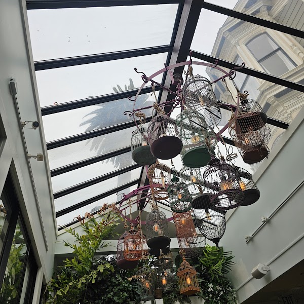 Palm House 3