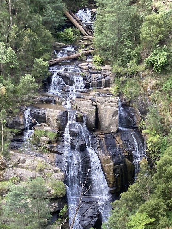 Kinglake National Park