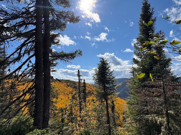 Mont du Dôme 2