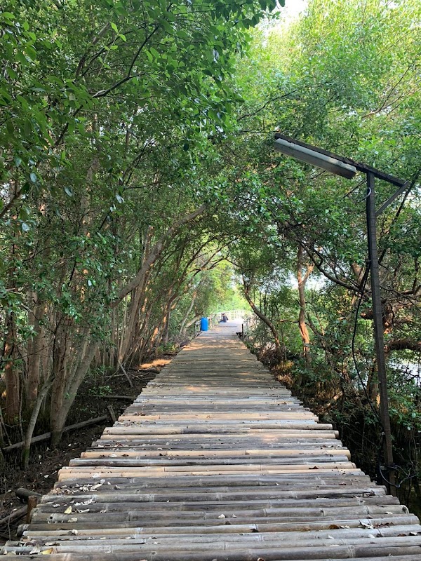 Mangrove Ecotourism Centre PIK 1
