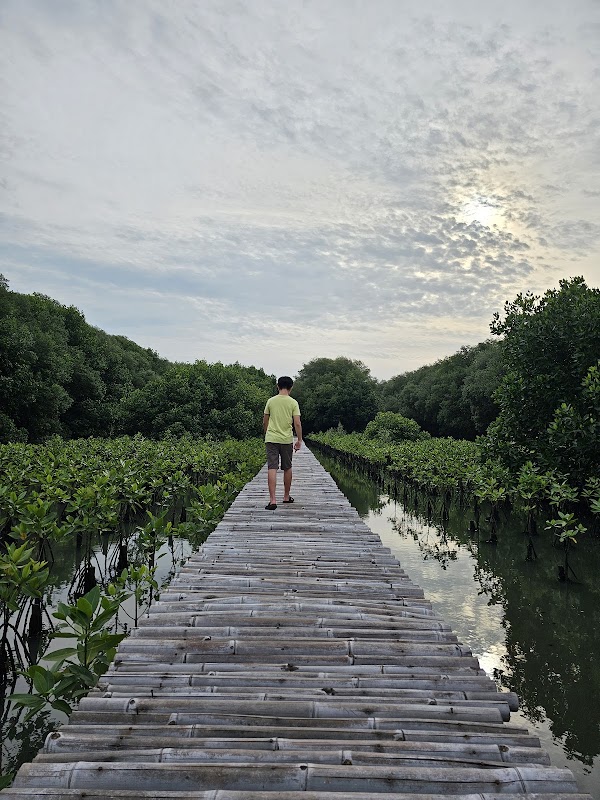 Mangrove Ecotourism Centre PIK 5