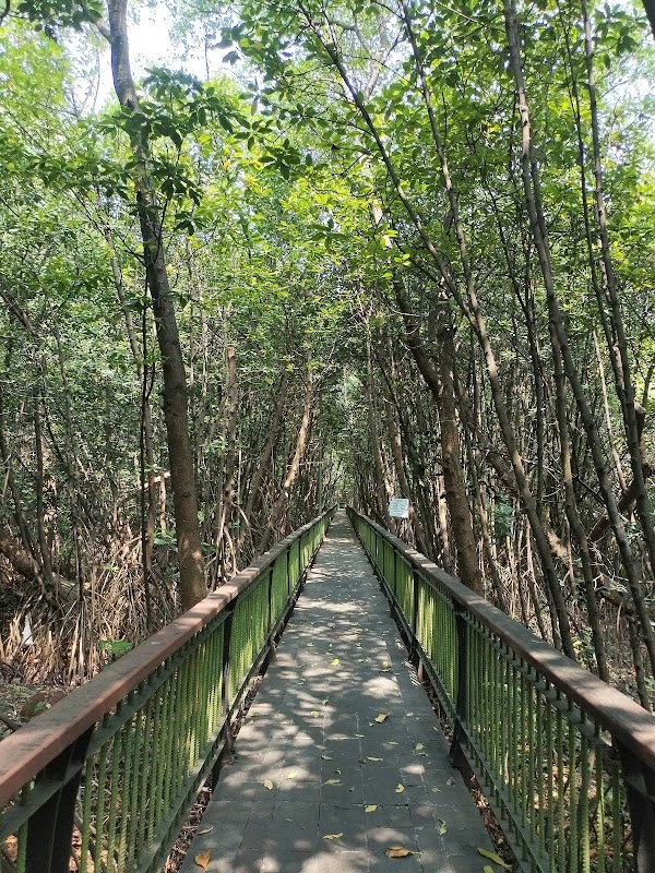 Mangrove Ecotourism Centre PIK 4