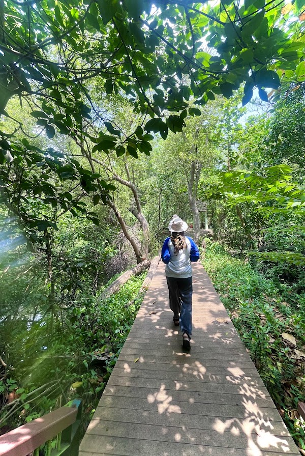 Mangrove Ecotourism Centre PIK 3