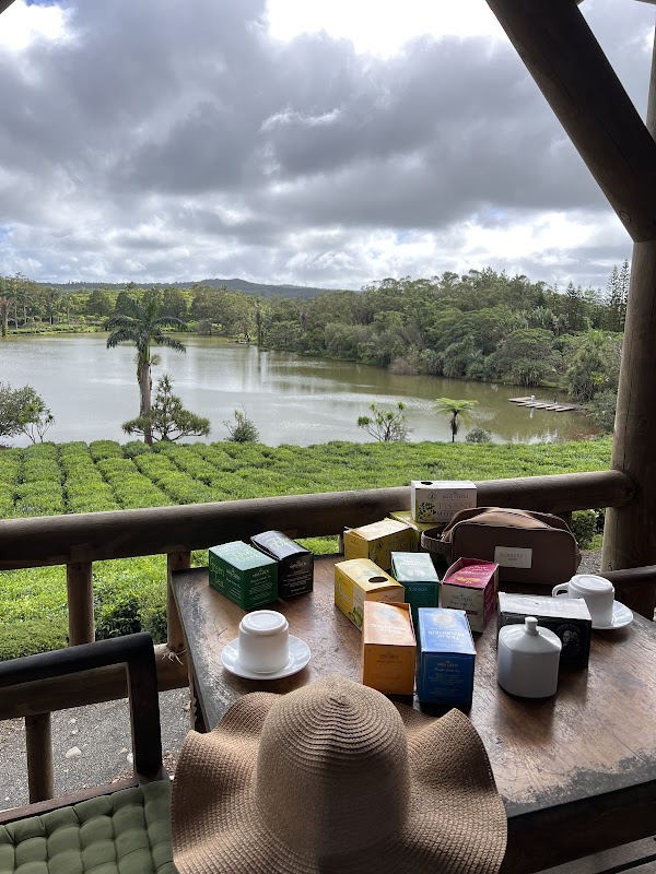 Bois Cheri Tea Factory