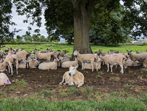 National Trust - Dover's Hill 2