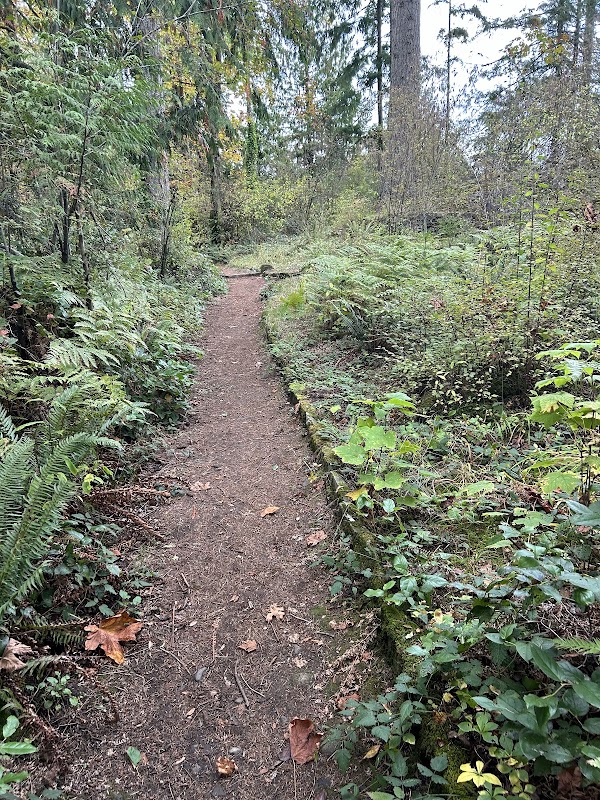 Hermit Trail 1
