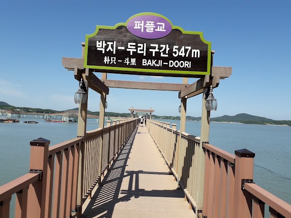 Purple Bridge 2