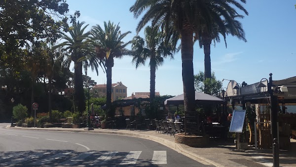 Bormes-les-Mimosas 4