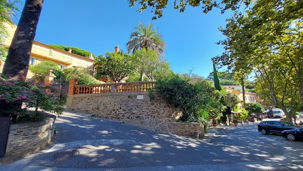 Bormes-les-Mimosas 2