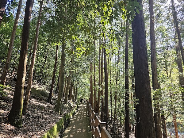 부산어린이대공원 3