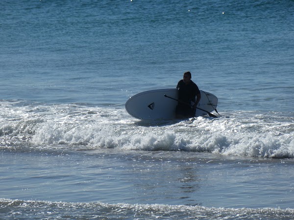 Queenscliff 4