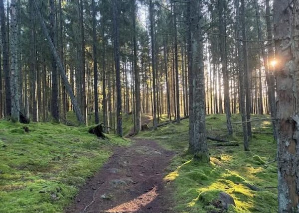 Grytåsa Strövområdе