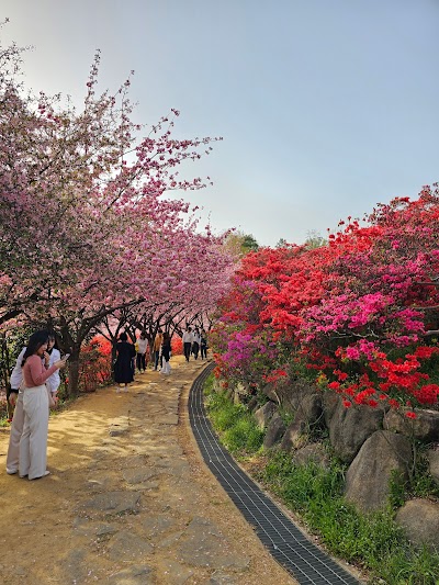 Wansan Park 1