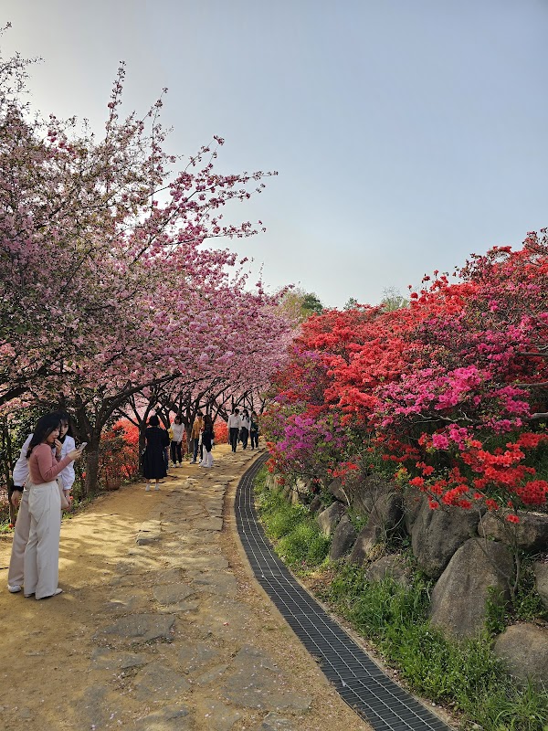 Wansan Park 5