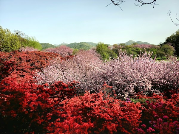 Wansan Park 4