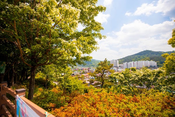 Wansan Park 2