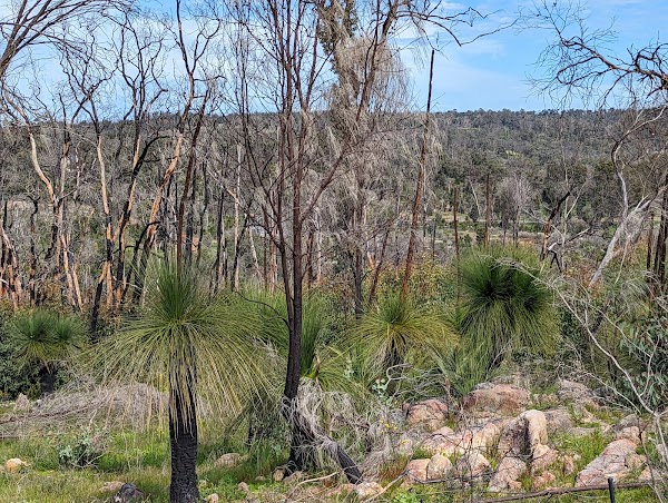 Gidgegannup 4