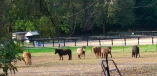 Gidgegannup 3