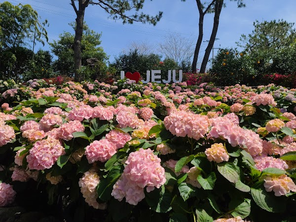 Hueree Nature Life Park 4