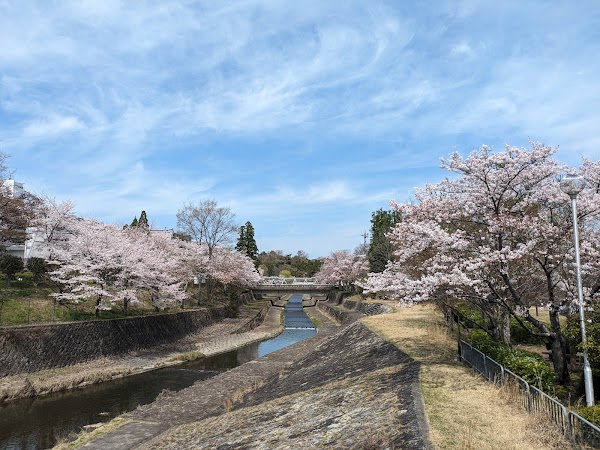 Takaragaike Park 3