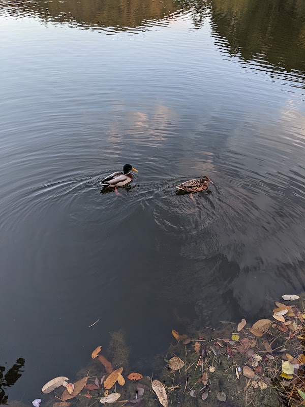 Takaragaike Park 2