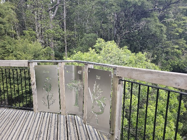 Kauri Glen Reserve 3